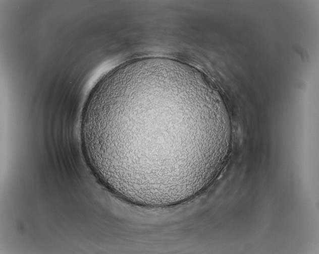 X0000113780006200910071233