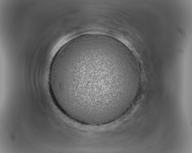 X0000113780007200910071233