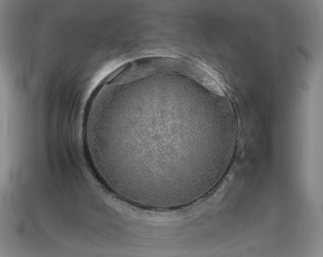 X0000113780008200910071233