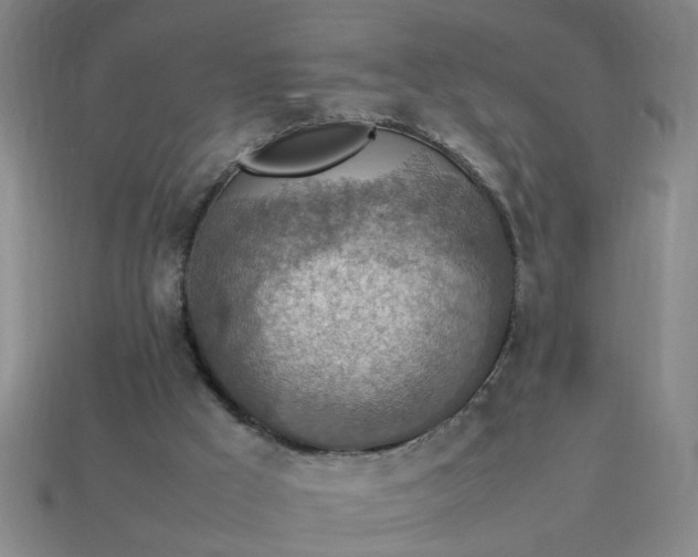 X0000113780009200910071233