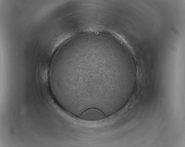 X0000113780010200910071233