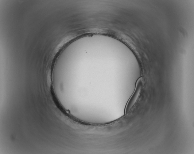 X0000113780011200910071233