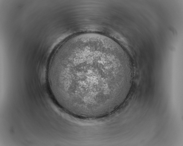 X0000113780012200910071233