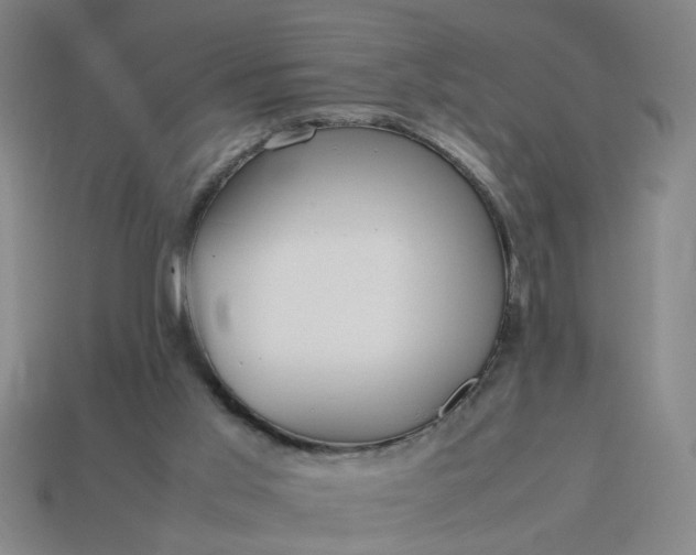 X0000113780013200910071233