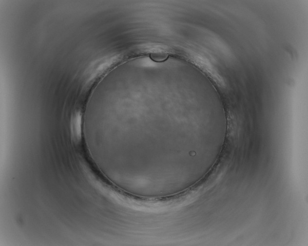 X0000113780014200910071233