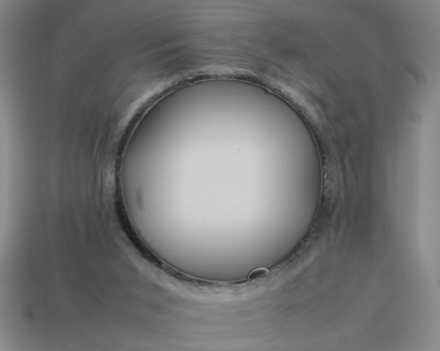 X0000113780015200910071233