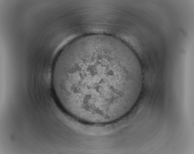 X0000113780016200910071233