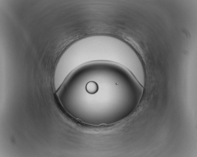 X0000113780017200910071233