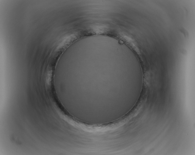 X0000113780018200910071233