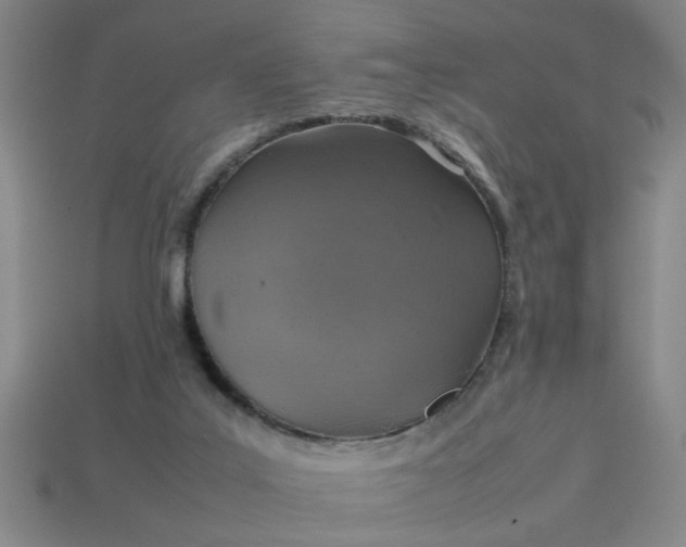 X0000113780019200910071233