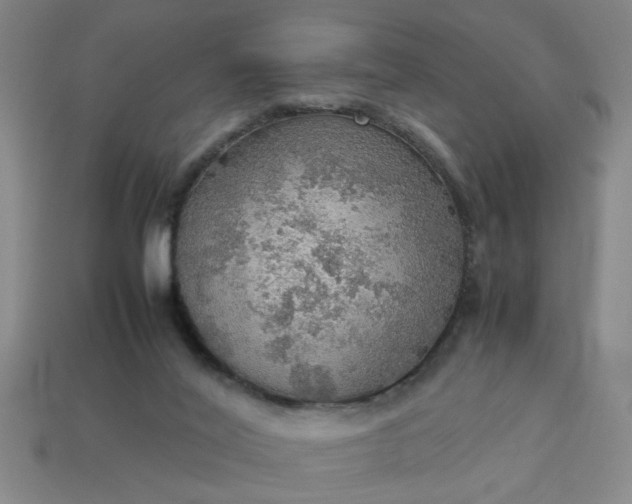 X0000113780020200910071233