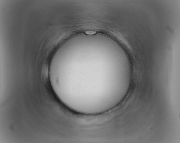 X0000113780021200910071233