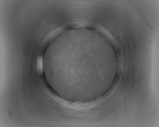 X0000113780022200910071233