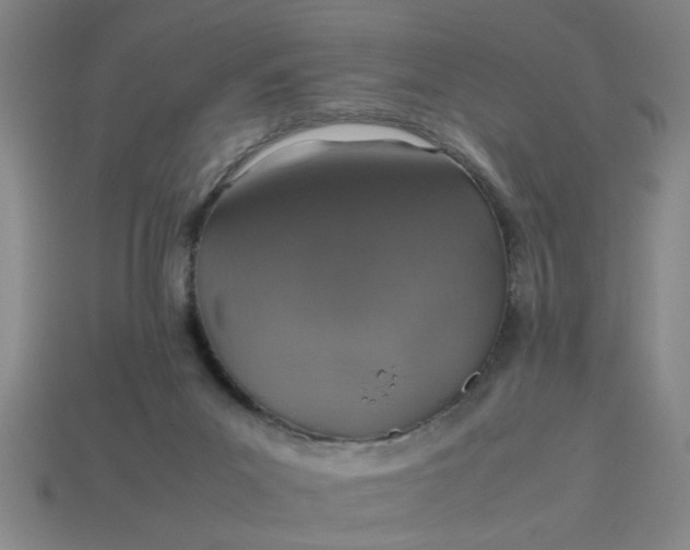 X0000113780023200910071233