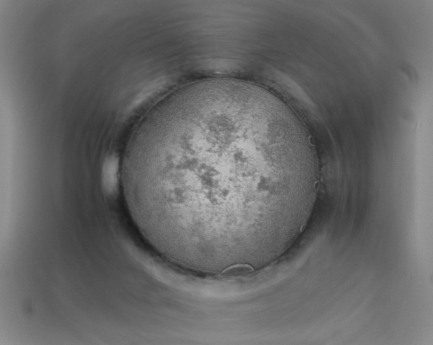 X0000113780024200910071233