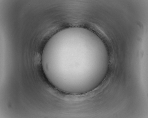 X0000113780025200910071233