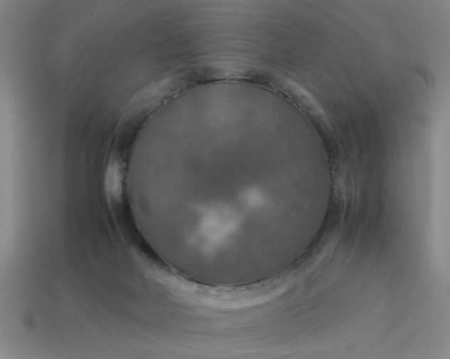 X0000113780026200910071233