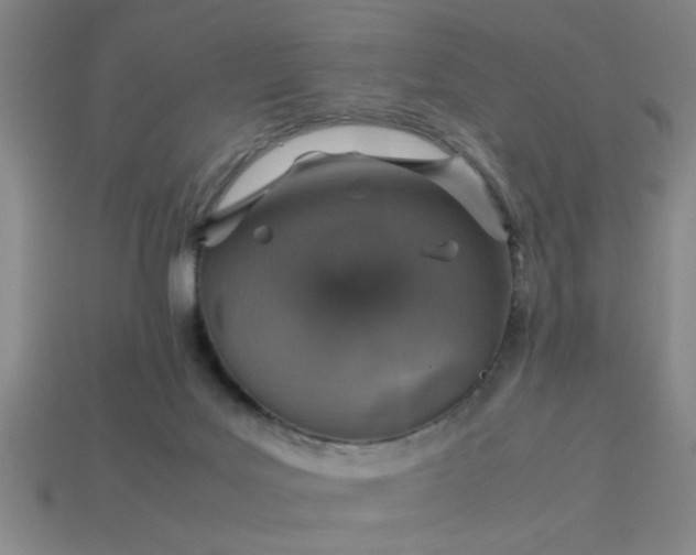 X0000113780027200910071233