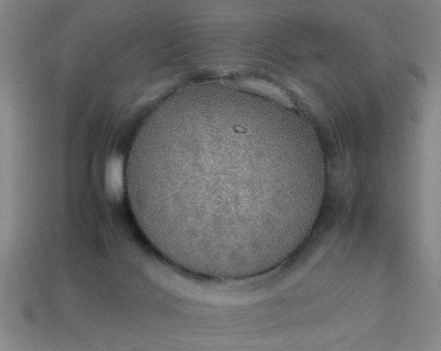 X0000113780028200910071233