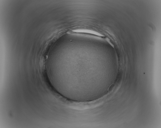 X0000113780029200910071233