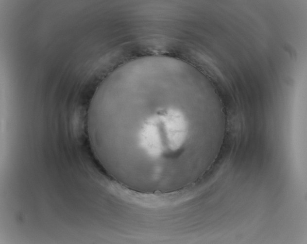 X0000113780030200910071233