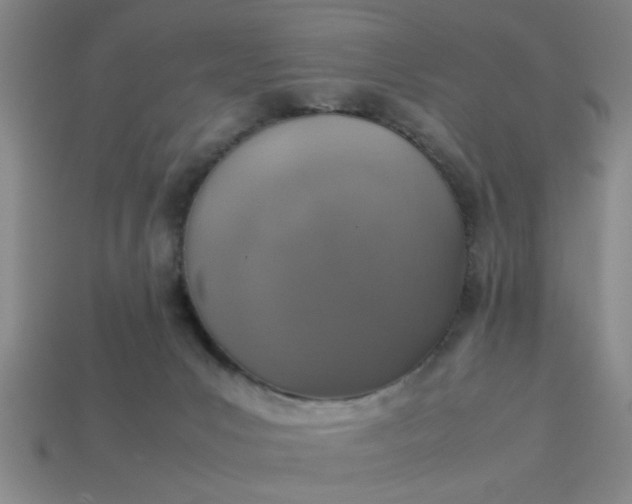 X0000113780031200910071233