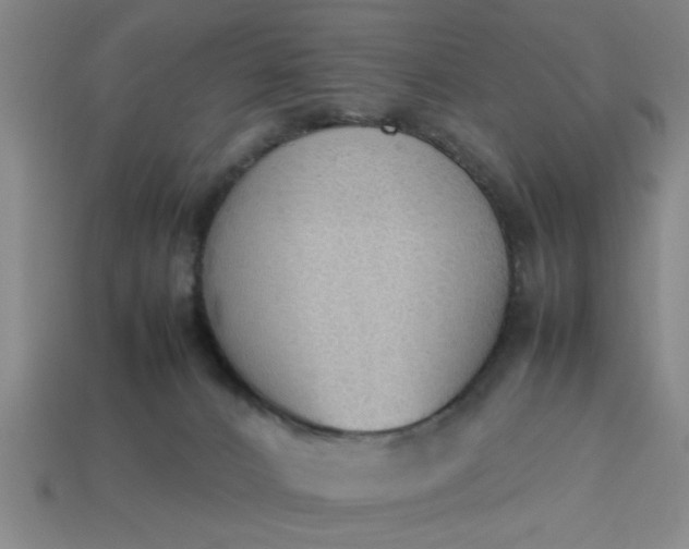 X0000113780032200910071233