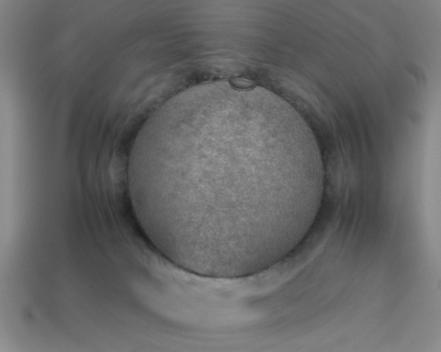 X0000113780034200910071232