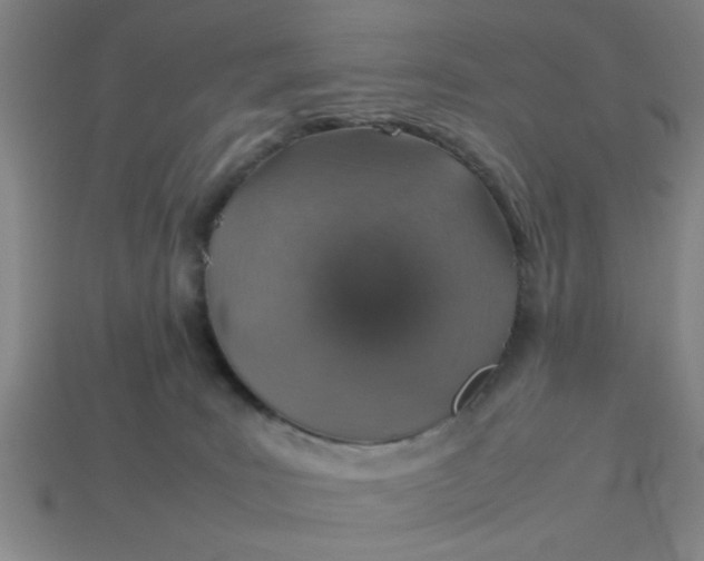 X0000113780035200910071232