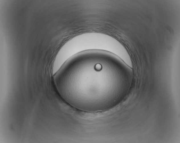 X0000113780037200910071232