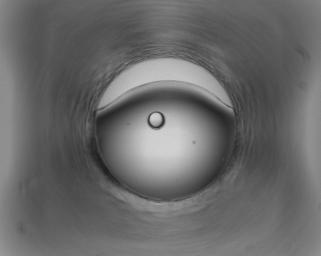 X0000113780039200910071232