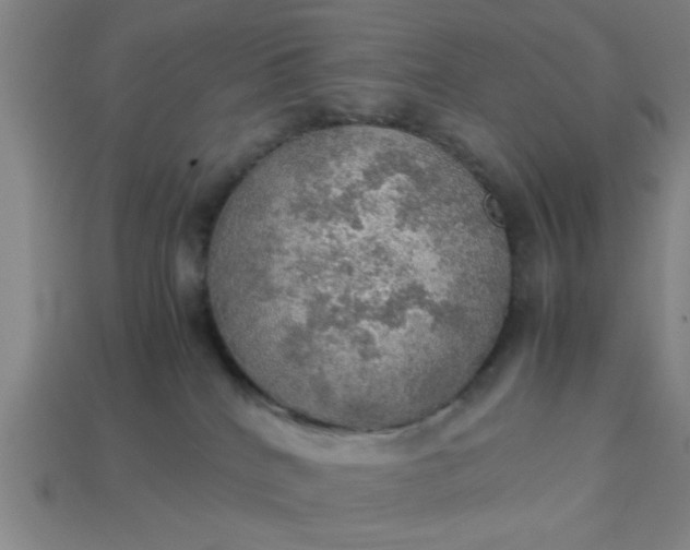 X0000113780040200910071232