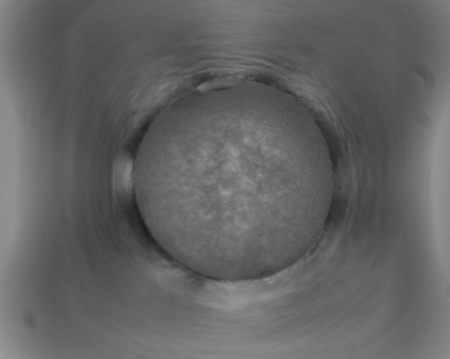 X0000113780041200910071232