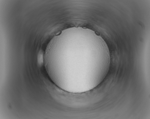 X0000113780042200910071232