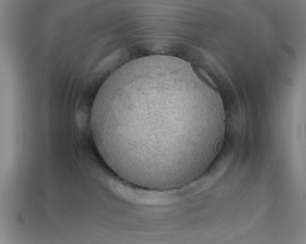 X0000113780044200910071232