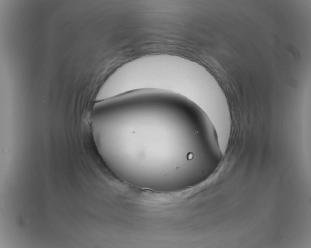 X0000113780045200910071232