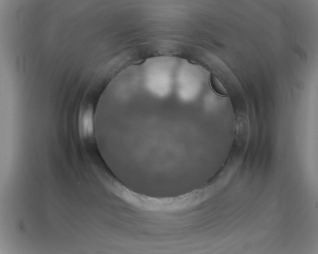 X0000113780046200910071232