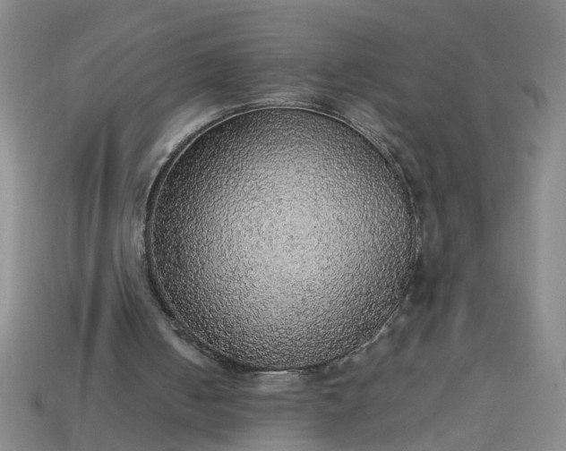 X0000113780050200910071232