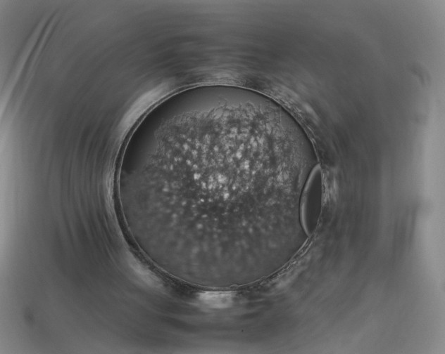 X0000113780051200910071232