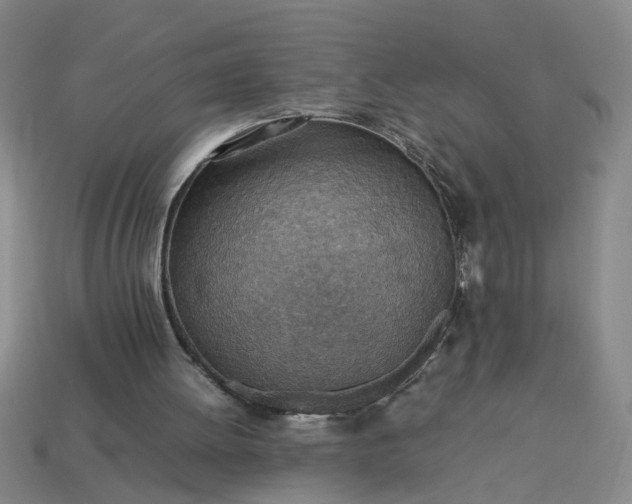 X0000113780052200910071232