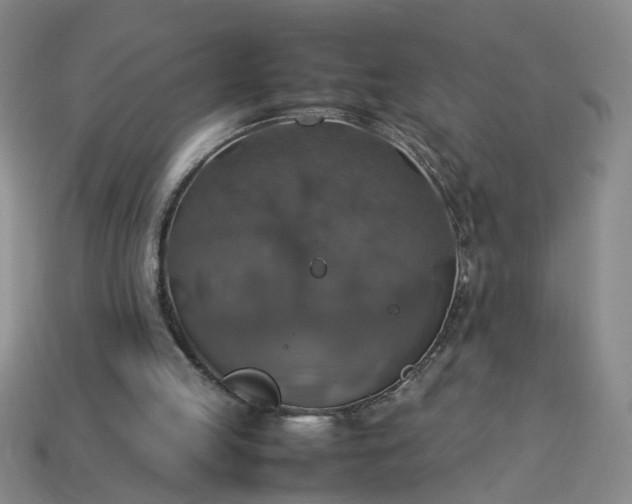 X0000113780053200910071232