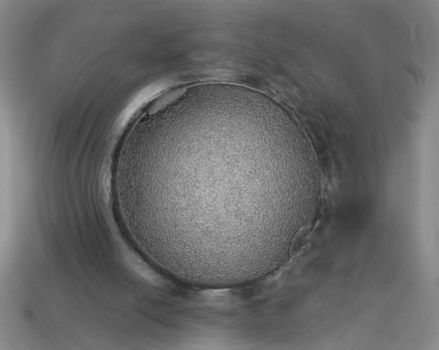 X0000113780054200910071232