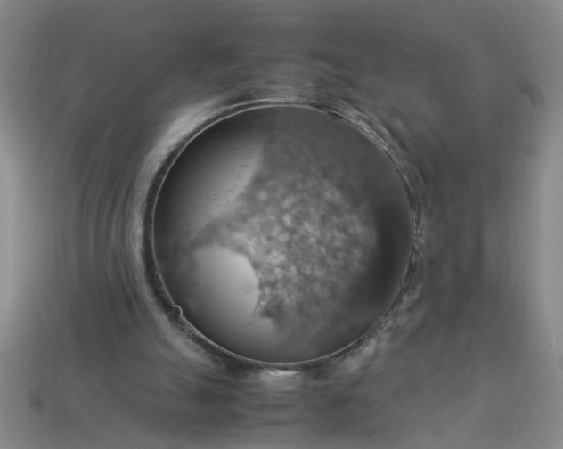 X0000113780055200910071232