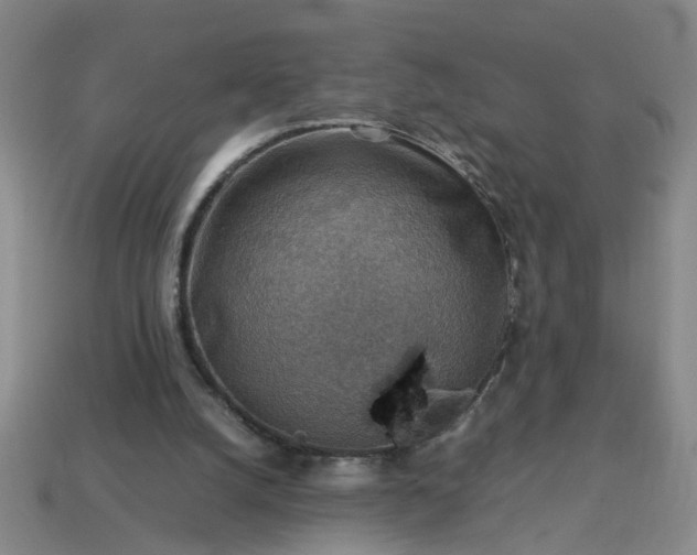 X0000113780056200910071232