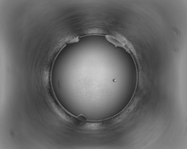 X0000113780057200910071232