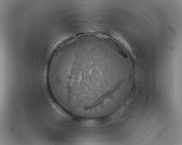 X0000113780058200910071232