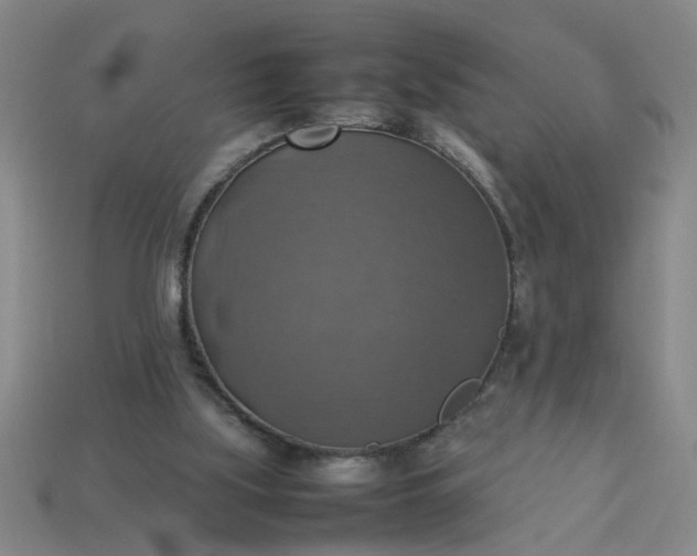 X0000113780059200910071232