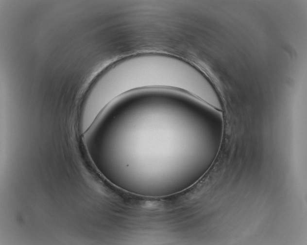 X0000113780060200910071232