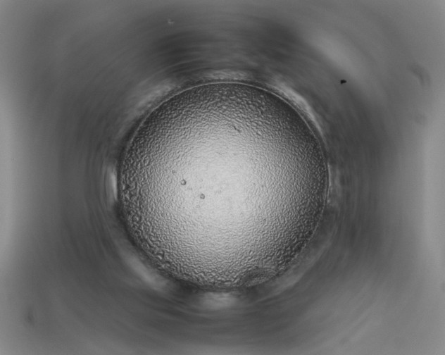 X0000113780061200910071232