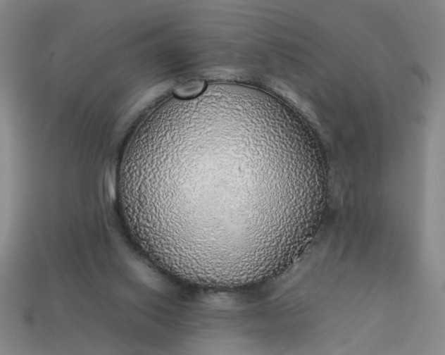 X0000113780062200910071232